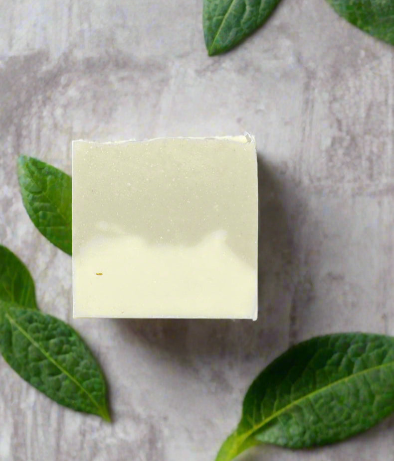Eucalyptus 🌿 Breeze – Refreshing Spa Bar with Aloe & Clays