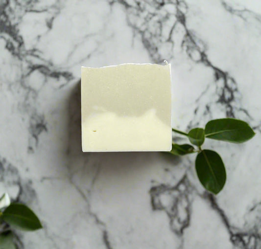 Eucalyptus πΏ Breeze β Refreshing Spa Bar with Aloe & Clays
