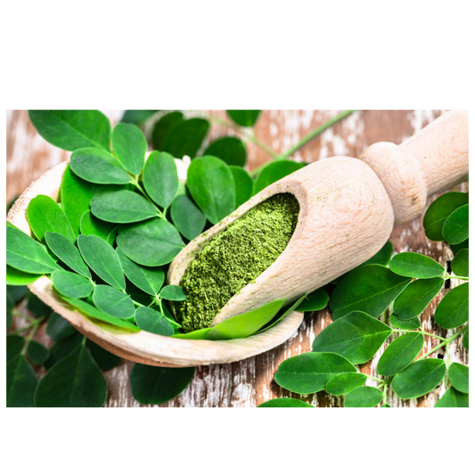 Unlocking the Power of Moringa Leaf in Skincare