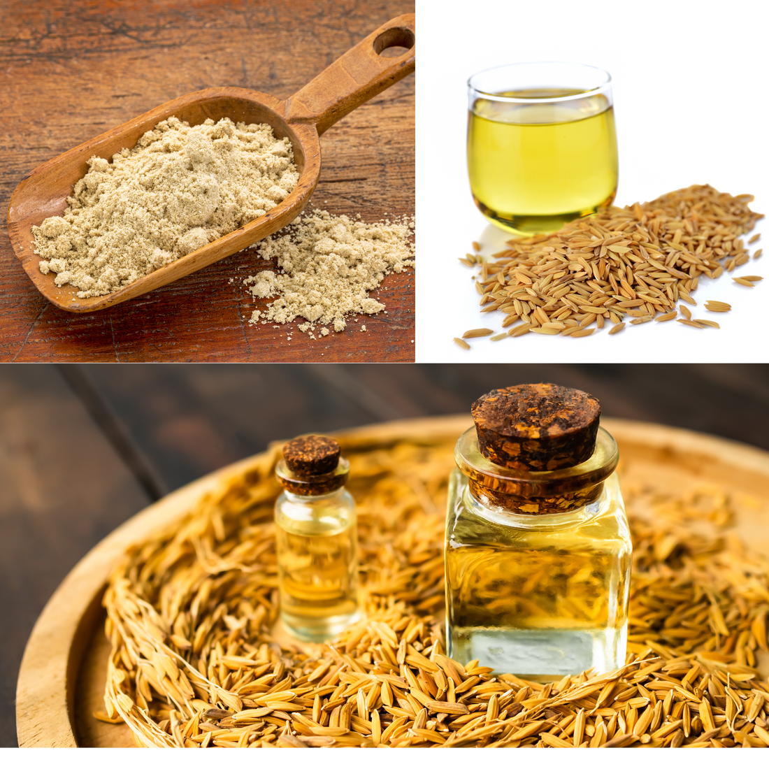 Embracing the Benefits of Rice Bran Oil for Eczema-Prone Skin and Hair